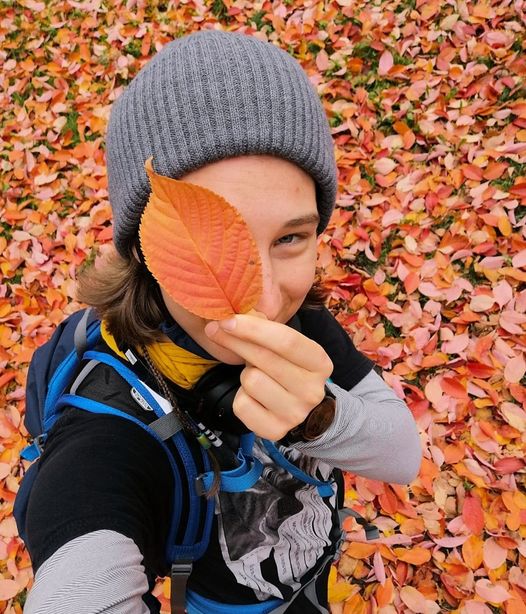 How to Stay Safe During the Holidays